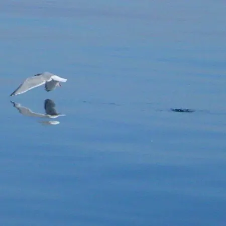 Duenenblick Strandkieker Lejlighed *