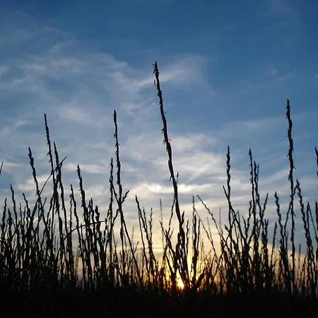 Duenenblick Strandkieker *